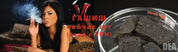 прущий лед Алзамай