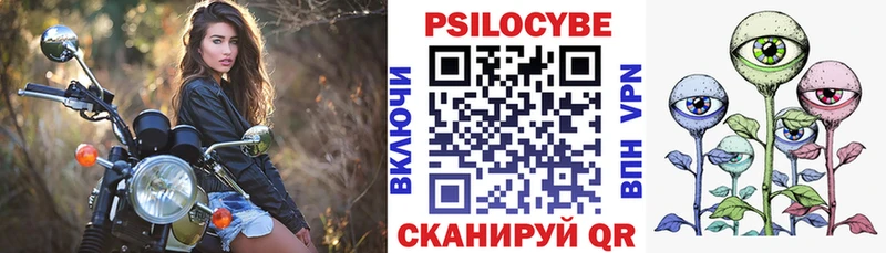 купить наркоту  Магадан  Галлюциногенные грибы GOLDEN TEACHER 
