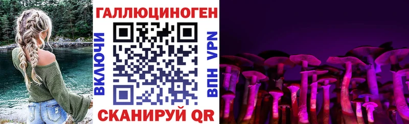 Галлюциногенные грибы Psilocybine cubensis Магадан